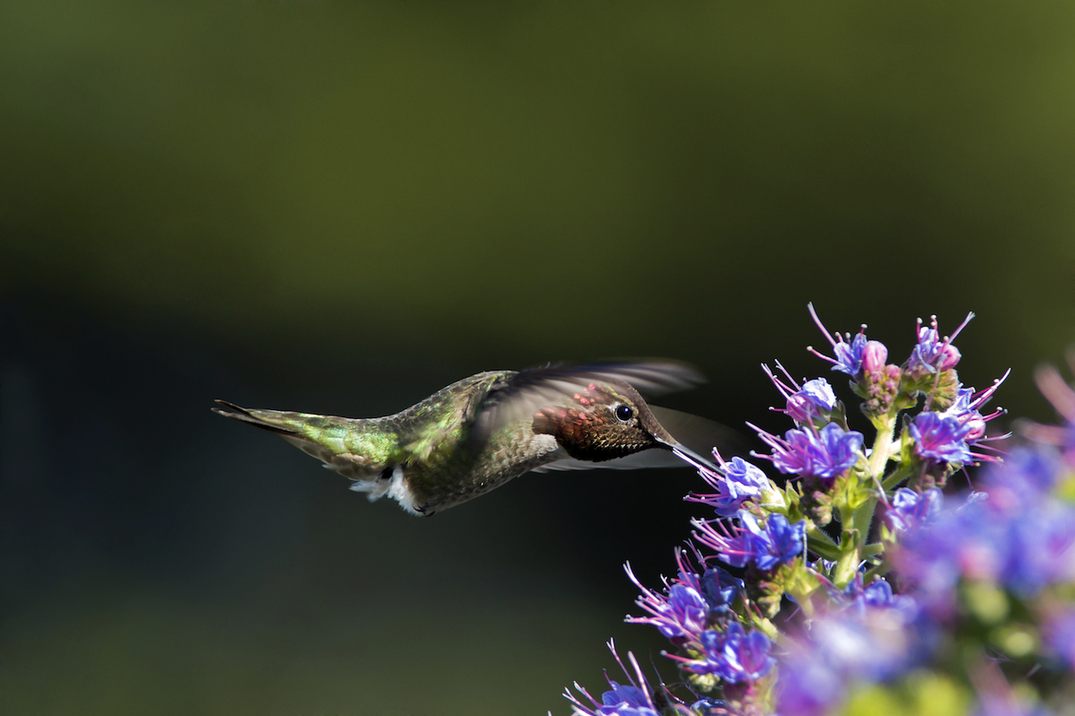 DSC_3548.jpg
