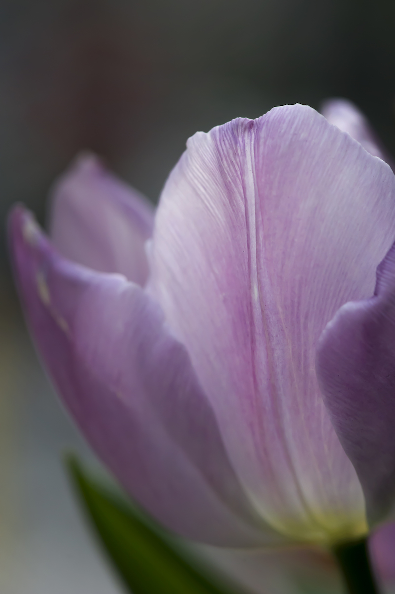 DSC_2035.jpg