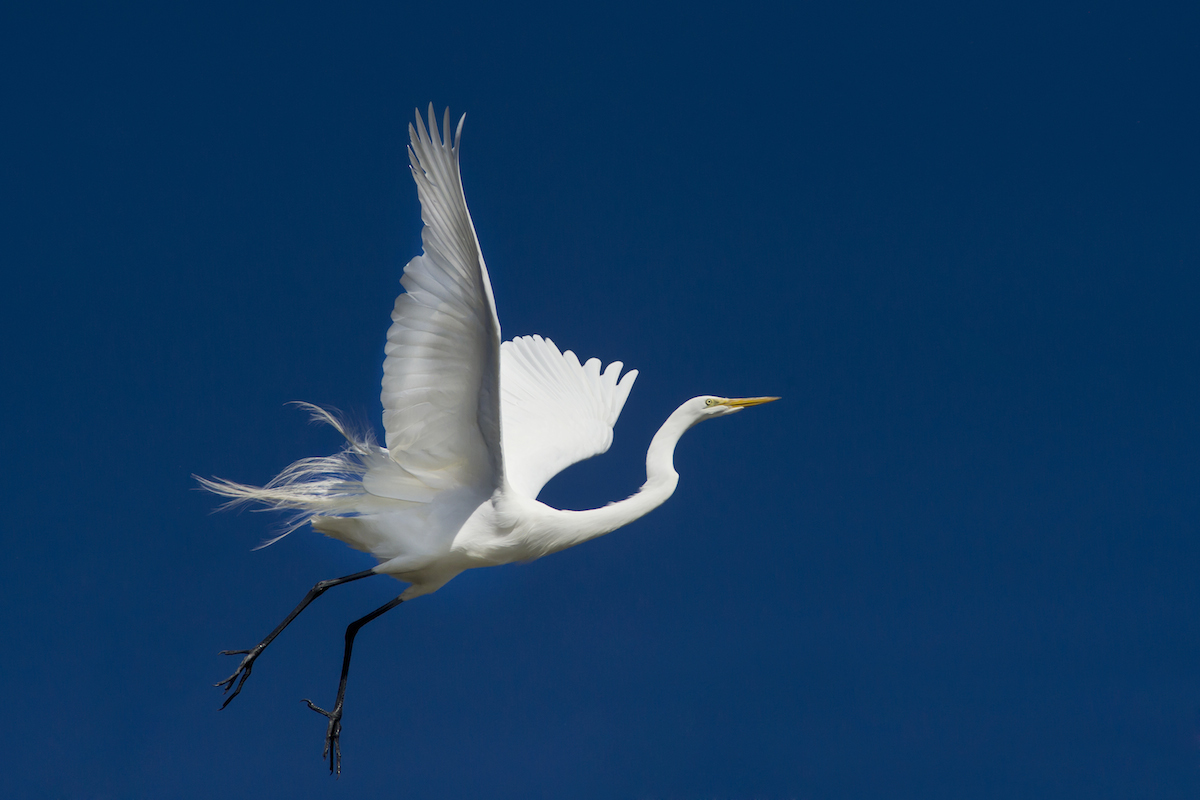 DSC_5046.jpg