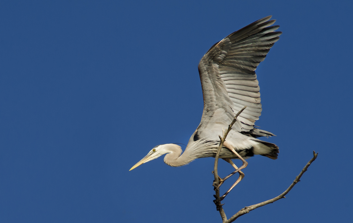 DSC_4693.jpg
