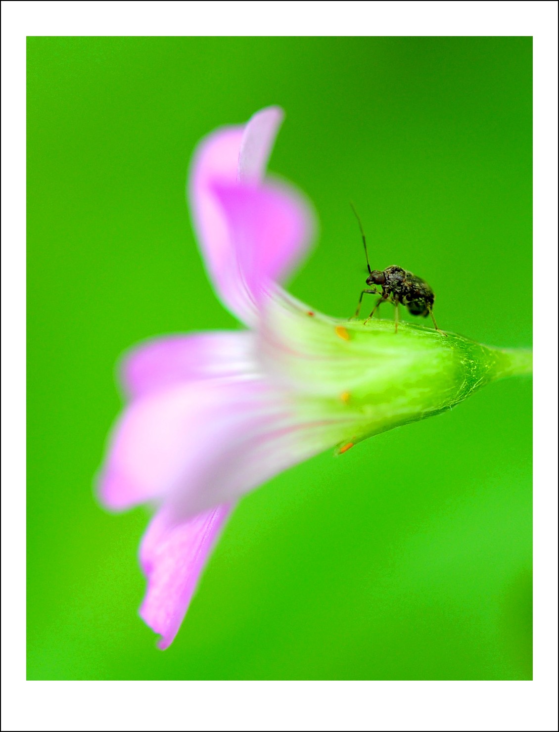DSC_9170_conew1.jpg