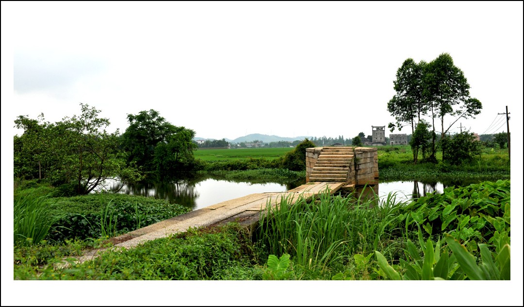 DSC_0381_conew1.jpg