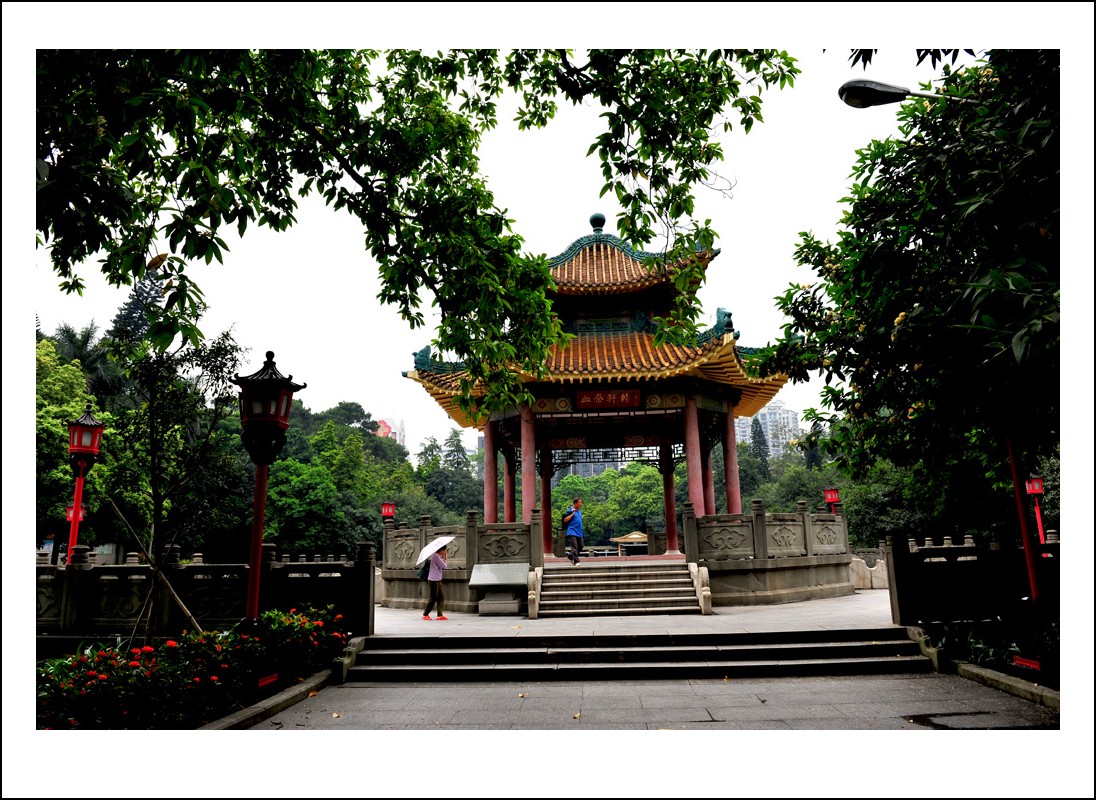 DSC_1062_conew1.jpg