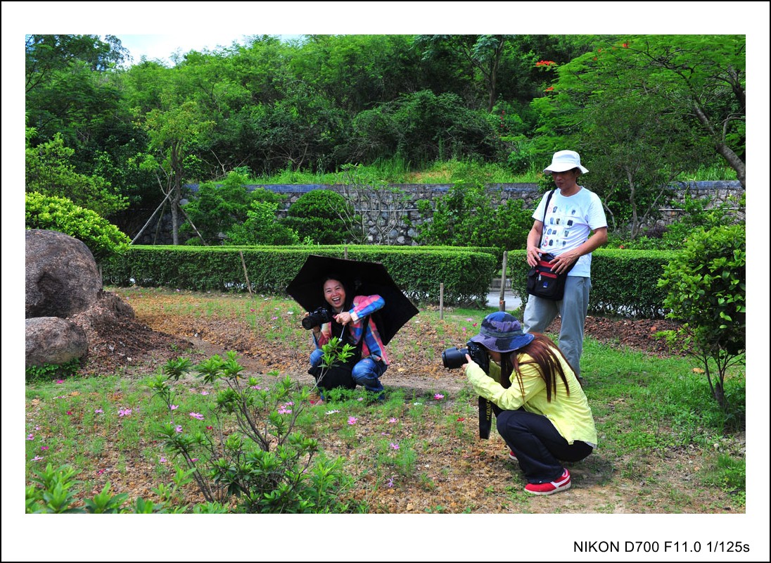 DSC_1378_conew1.jpg