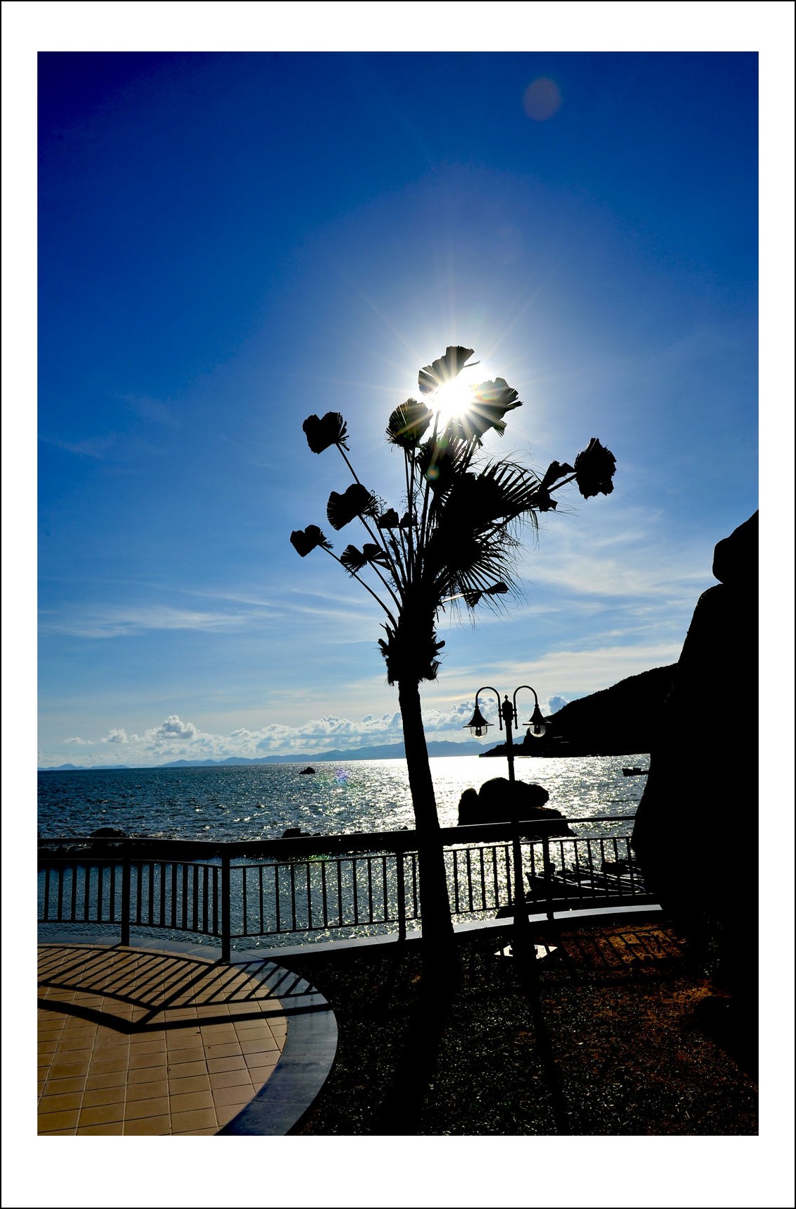 DSC_1605_conew1.jpg