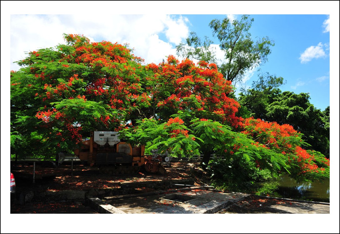 DSC_1392_conew1.jpg