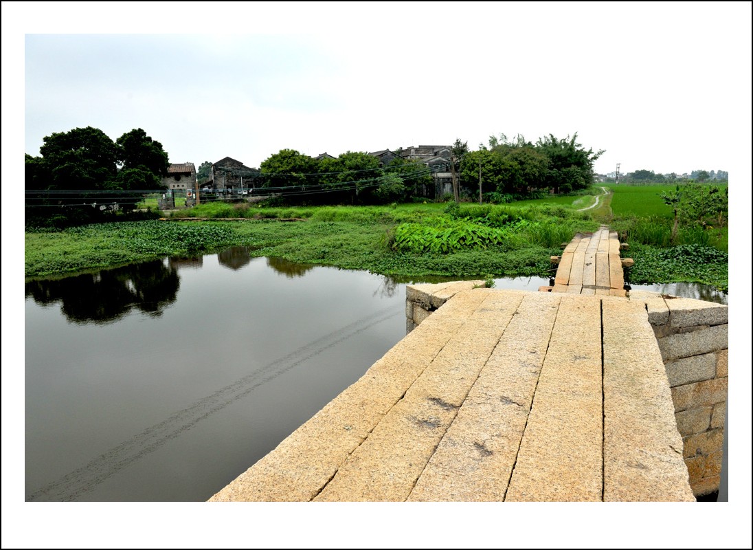 DSC_0300_conew1.jpg