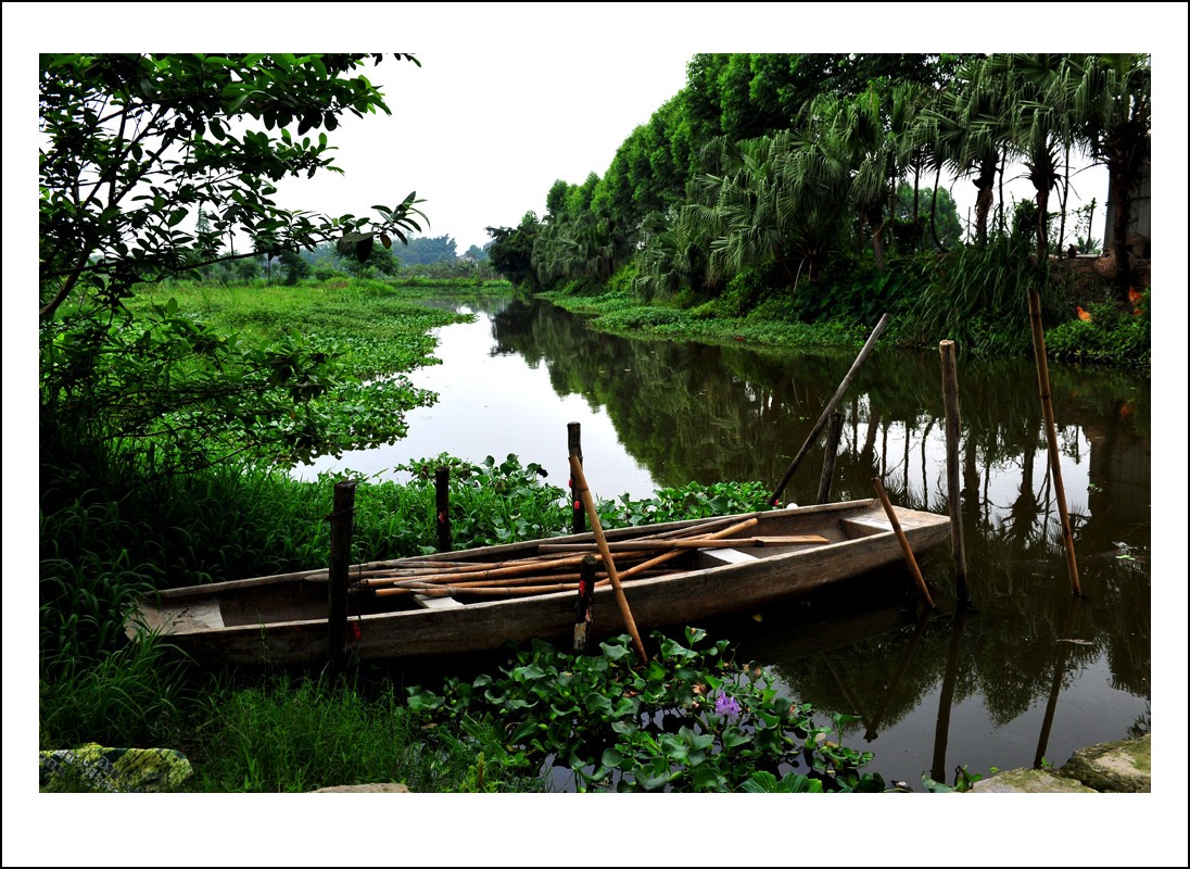 DSC_0271_conew1.jpg