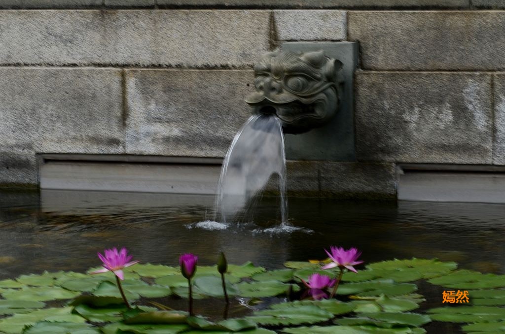 QQͼƬ20140507131001.jpg
