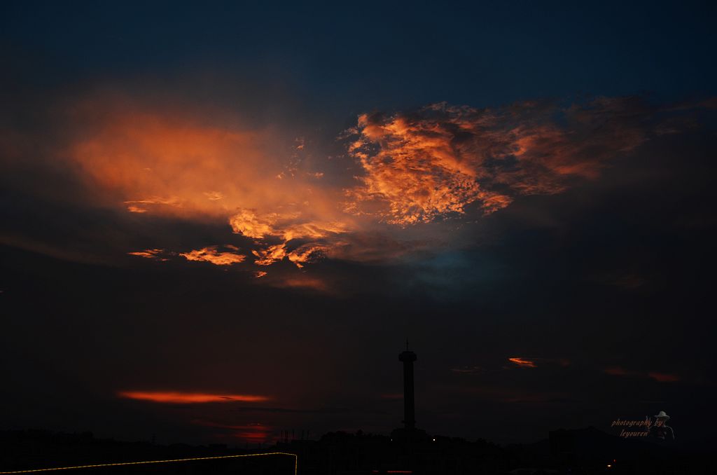 DSC_0911.JPG