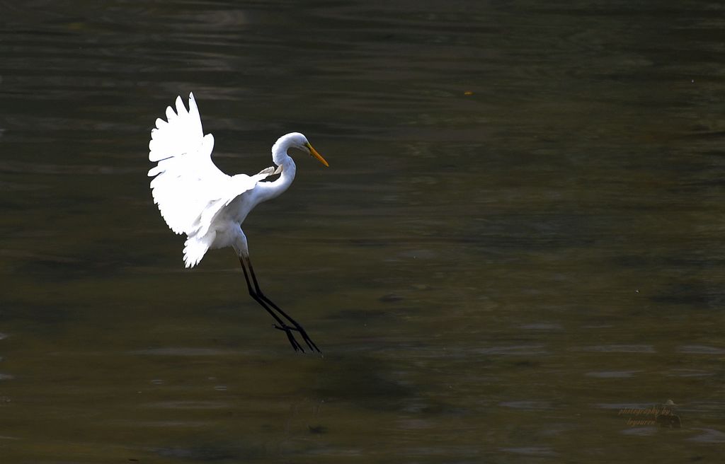 DSC_0399.JPG