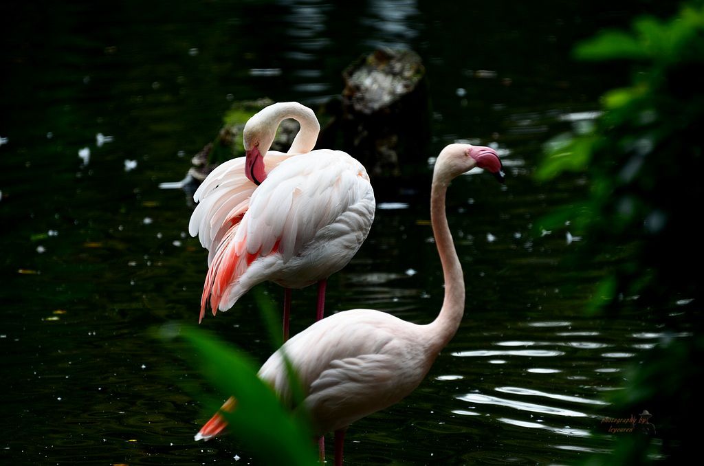 DSC_0073.JPG.jpg