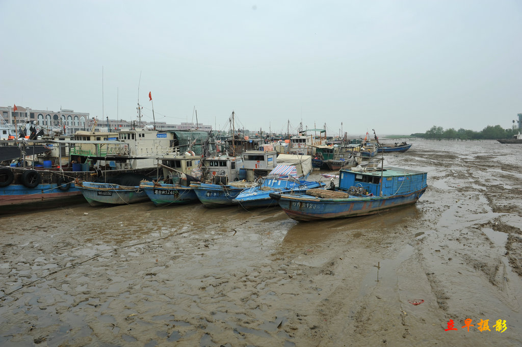 DSC_3340.JPG
