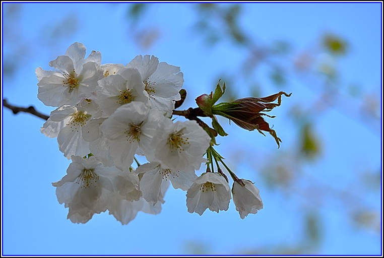 DSC_0268_����.jpg