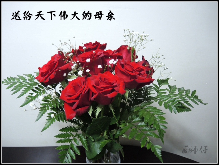 DSCN1191_.jpg