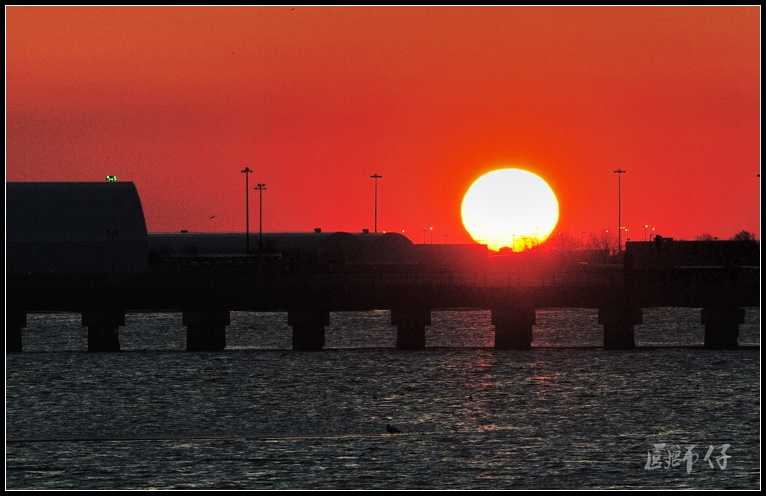 DSC_5509.jpg