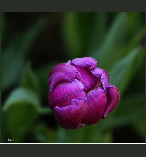 IMG_9039=.jpg