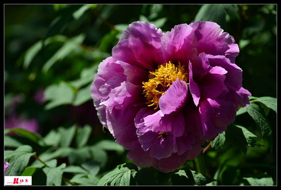 DSC_0214__.jpg