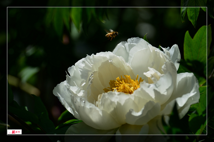 DSC_0317_.jpg