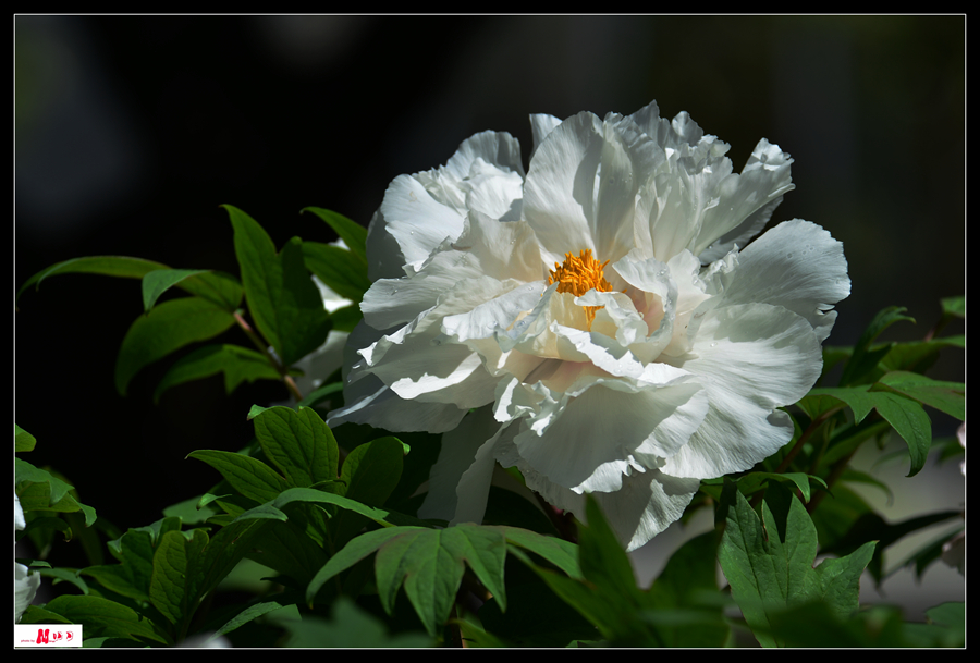 DSC_0140__.jpg
