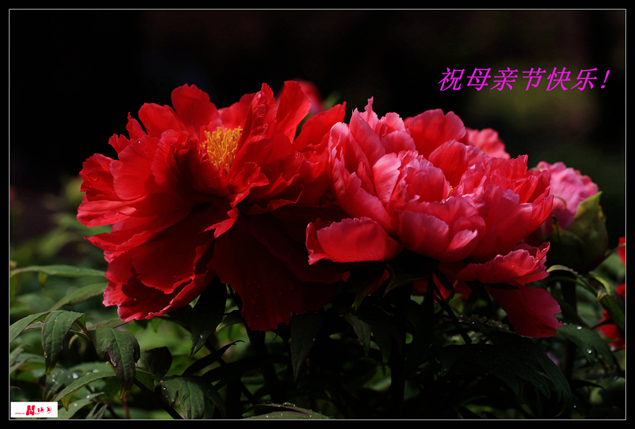 IMG_6706_.jpg