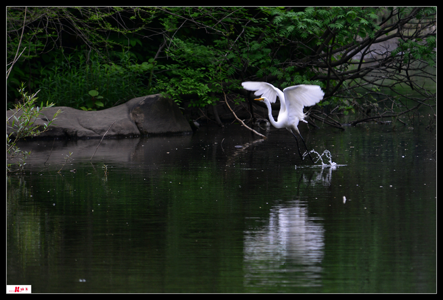 DSC_1113_.jpg