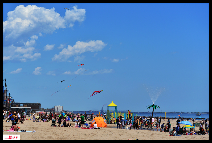 DSC_0734__.jpg