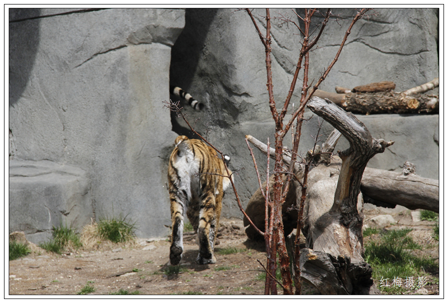 _MG_0179.JPG