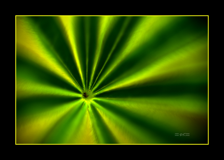 DSC_6017C.jpg