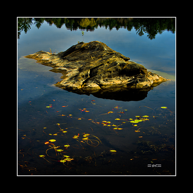 DSC_0503C1.jpg