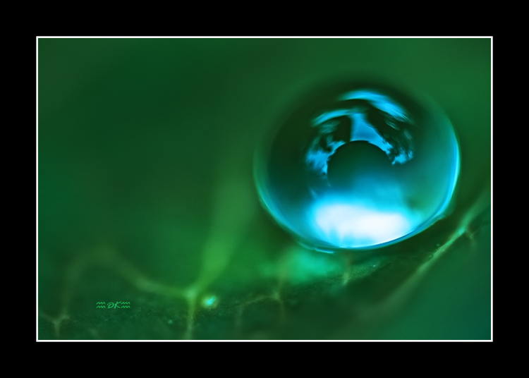 DSC_5597C.jpg