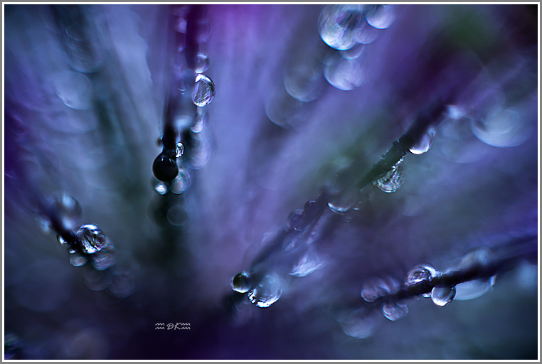 DSC_6082C.jpg