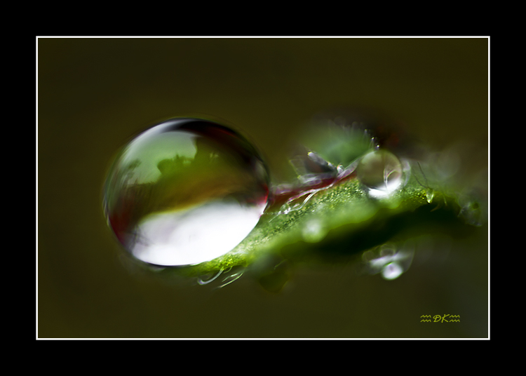 DSC_5577C.jpg