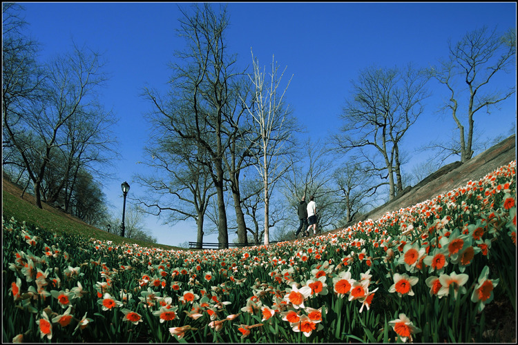 DSCN1729.jpg