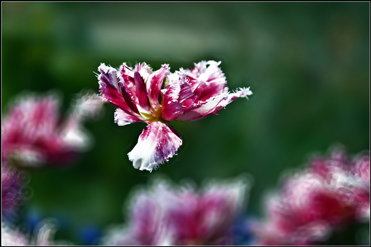 _DSC7373_.jpg