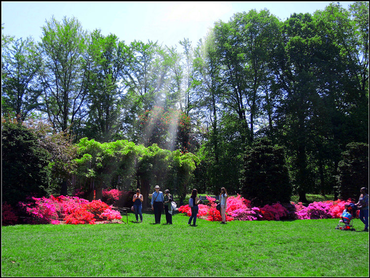 DSCN2717.jpg