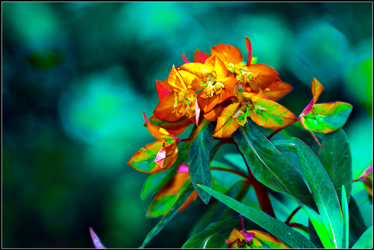 Untitled-1.jpg