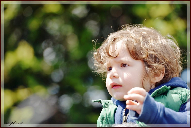 DSC_2136a.jpg