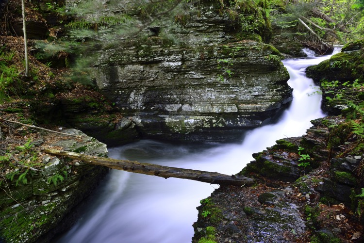 _DSC4472_02.JPG