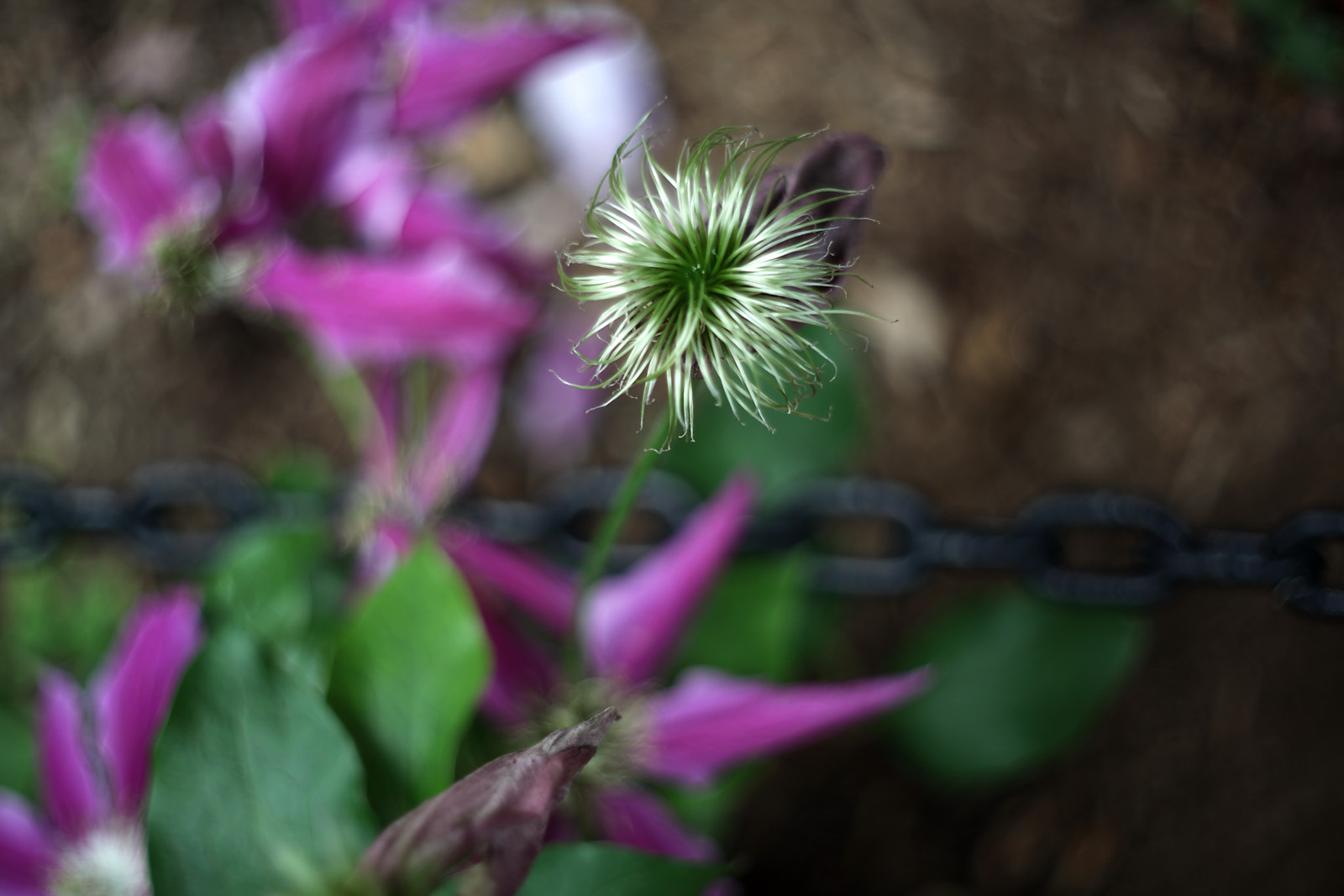 IMG_0333y.jpg