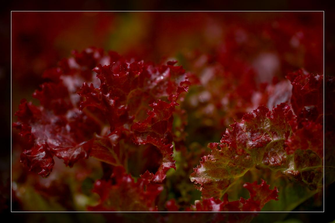 }u -05-23-2014--~s 071-1.jpg