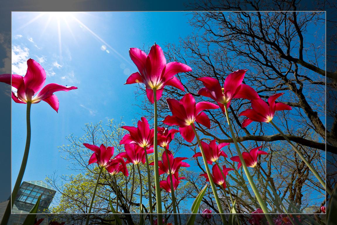 }u -05-03-2014--~s 242-3.jpg