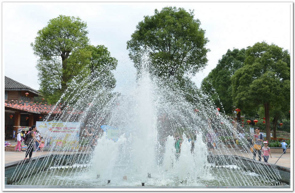 DSC_2311.jpg