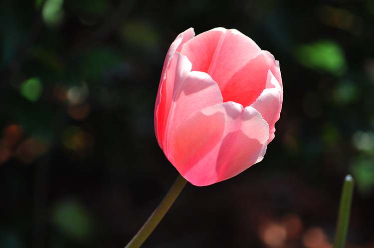 DSC_0910_.jpg