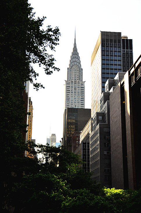 DSC_0082_.jpg