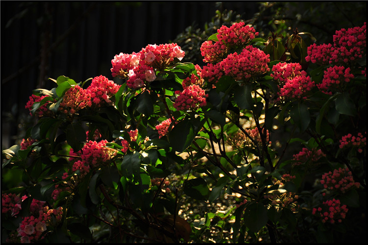DSC_0144.jpg