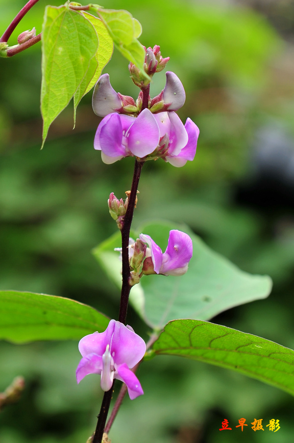 DSC_3487.JPG