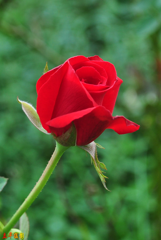 DSC_0064_2.JPG