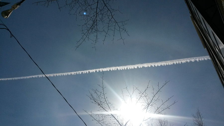 20140407_121737.jpg