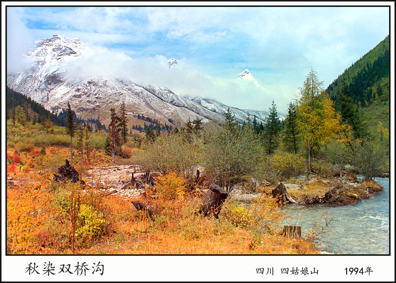 Ⱦ˫Ź1994.jpg